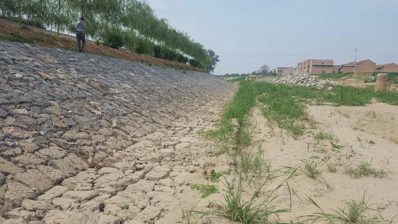 河道石笼网绿化治理
