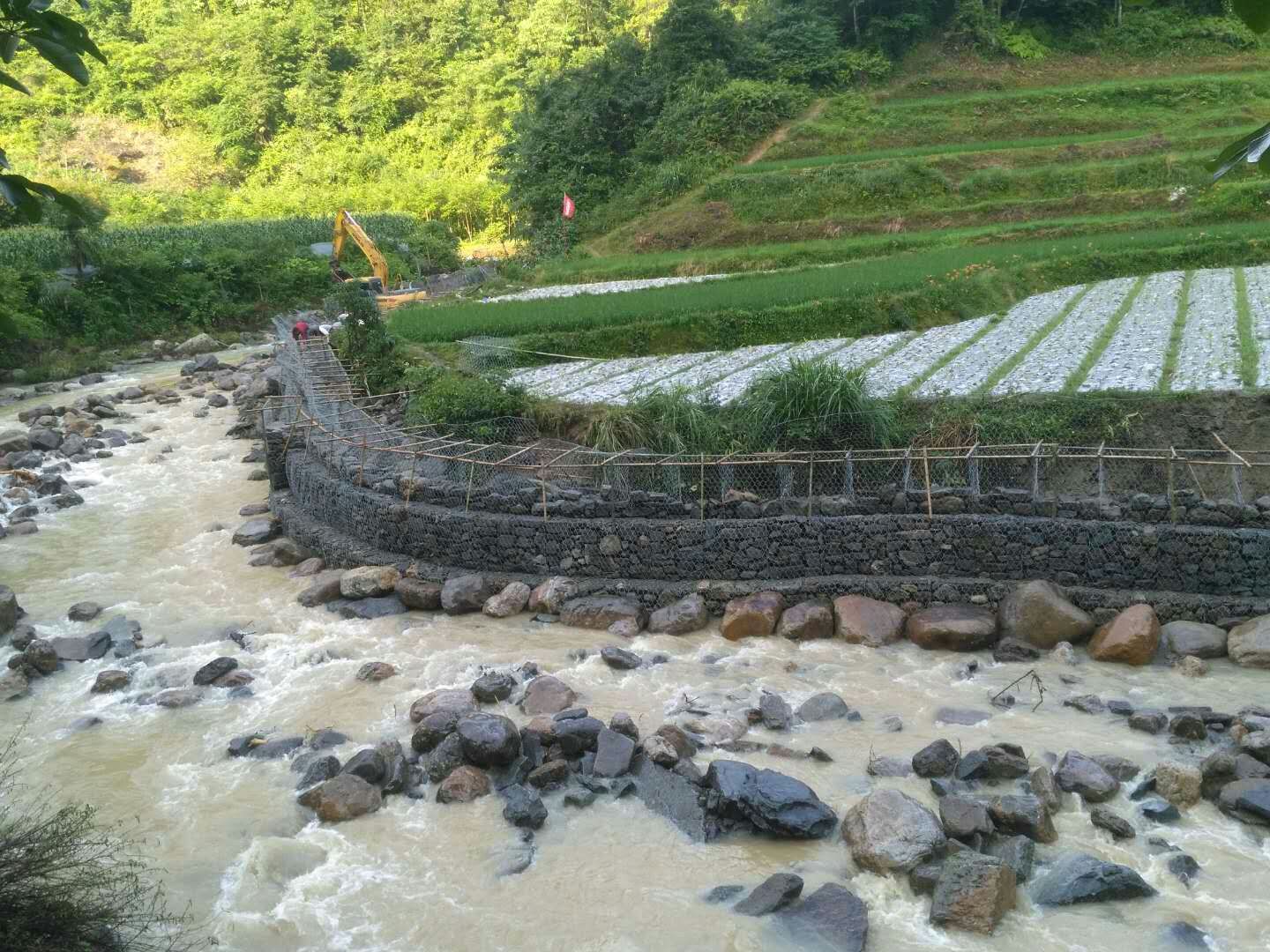 河道护岸格宾石笼网