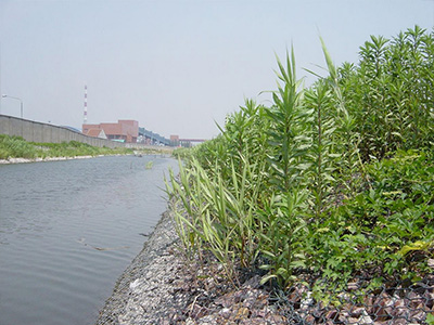 河道格宾护坡