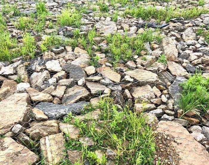 河道治理镀高尔凡雷诺护垫