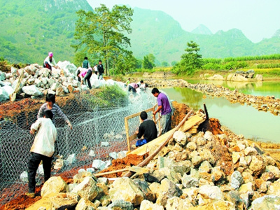 石笼驳岸